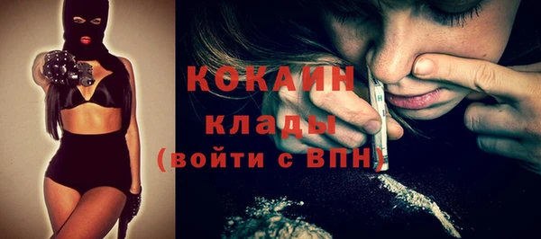 молекула духа Алексин