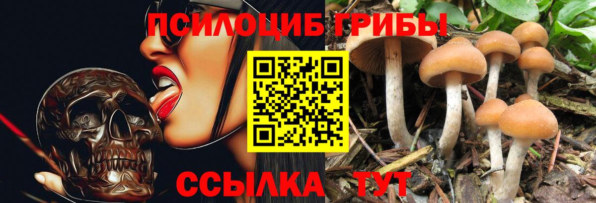Псилоцибиновые грибы ЛСД  Вход с VPN  Галлюциногенные грибы мухоморы  даркнет сайт  Изобильный 